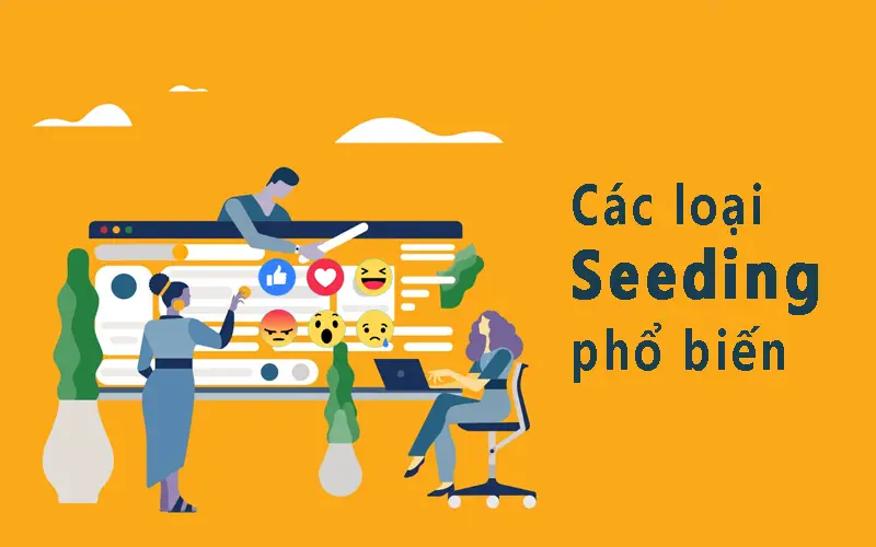 Seeding Facebook va nhung phuong phap Seeding hieu qua 2